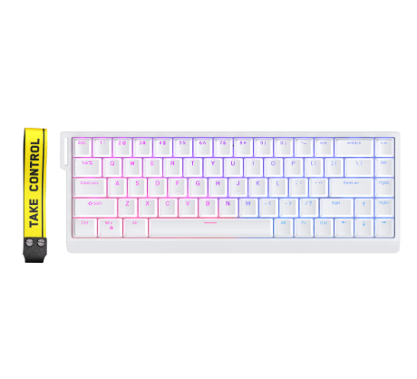 Zuoya HE65 (WHITE, with magnetic switches)