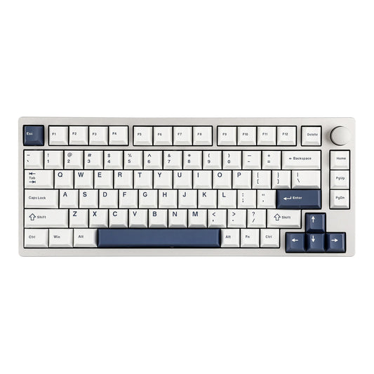 Epomaker P75 (WHITE/BLUE with Zebra switches)